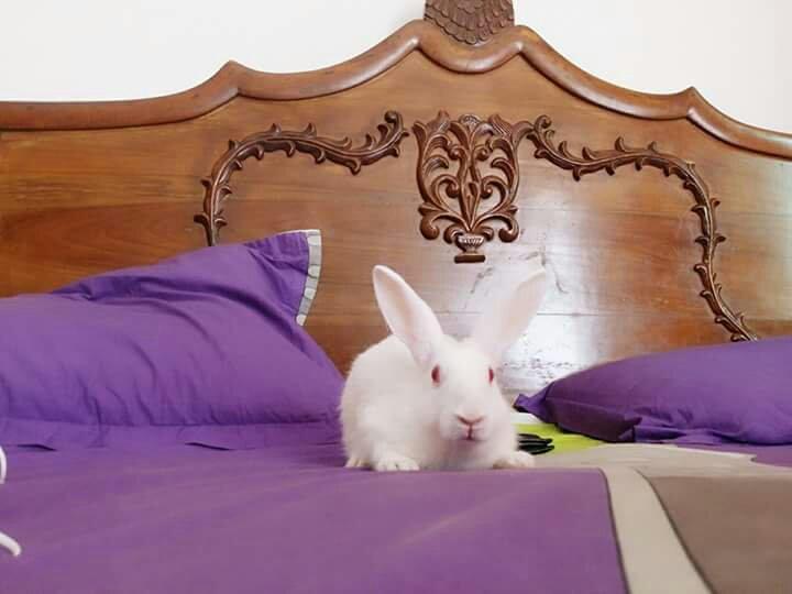 Hotel Vinayak-浴室