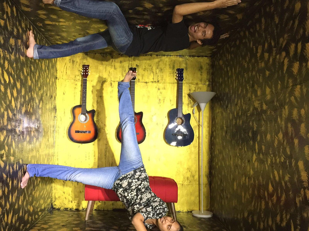 Upside Down Art Gallery-波德申必去景点