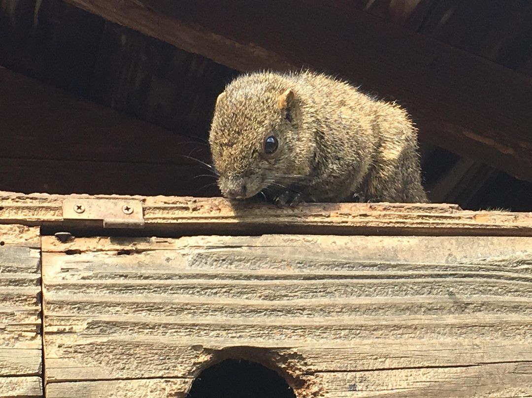 Shimin Fureai no Sato-大阪狭山市必去景点