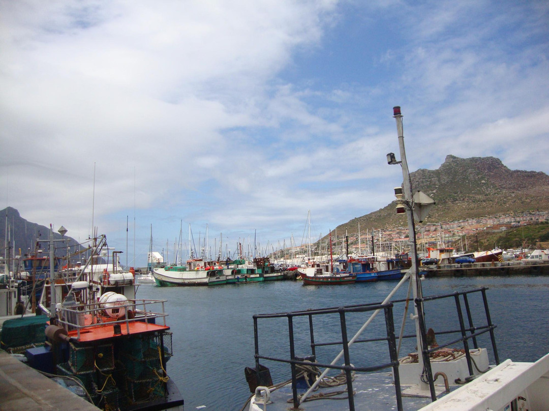 Cape Town Travel n Tours-开普敦中心区必去景点