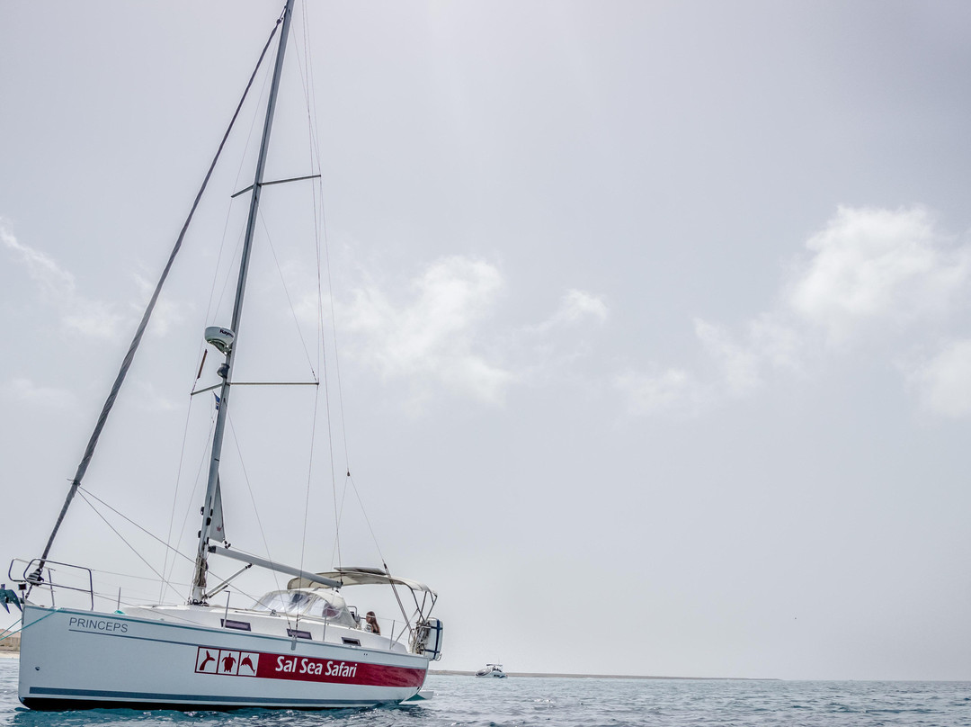 Sal Sea Safari-圣塔玛丽亚必去景点