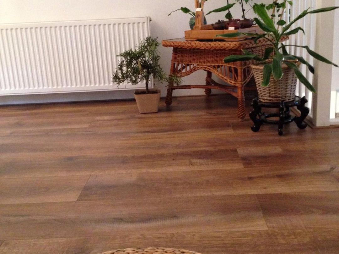 Tea's Delight-阿姆斯特丹必去景点