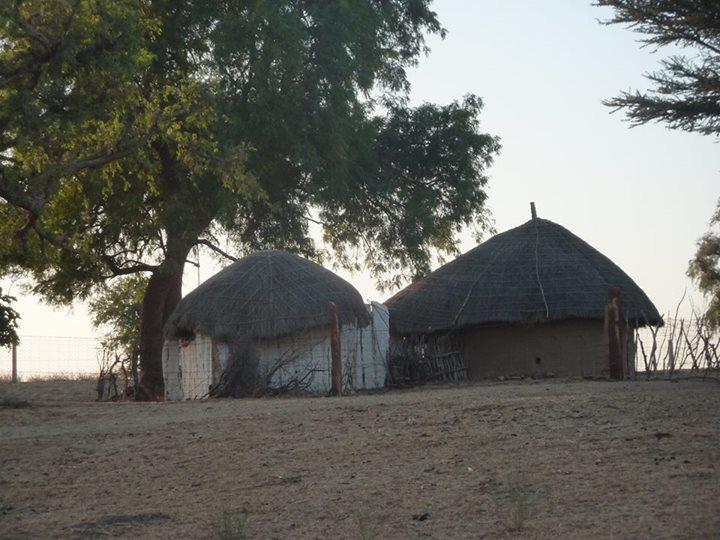 Desert Home Stay-官方