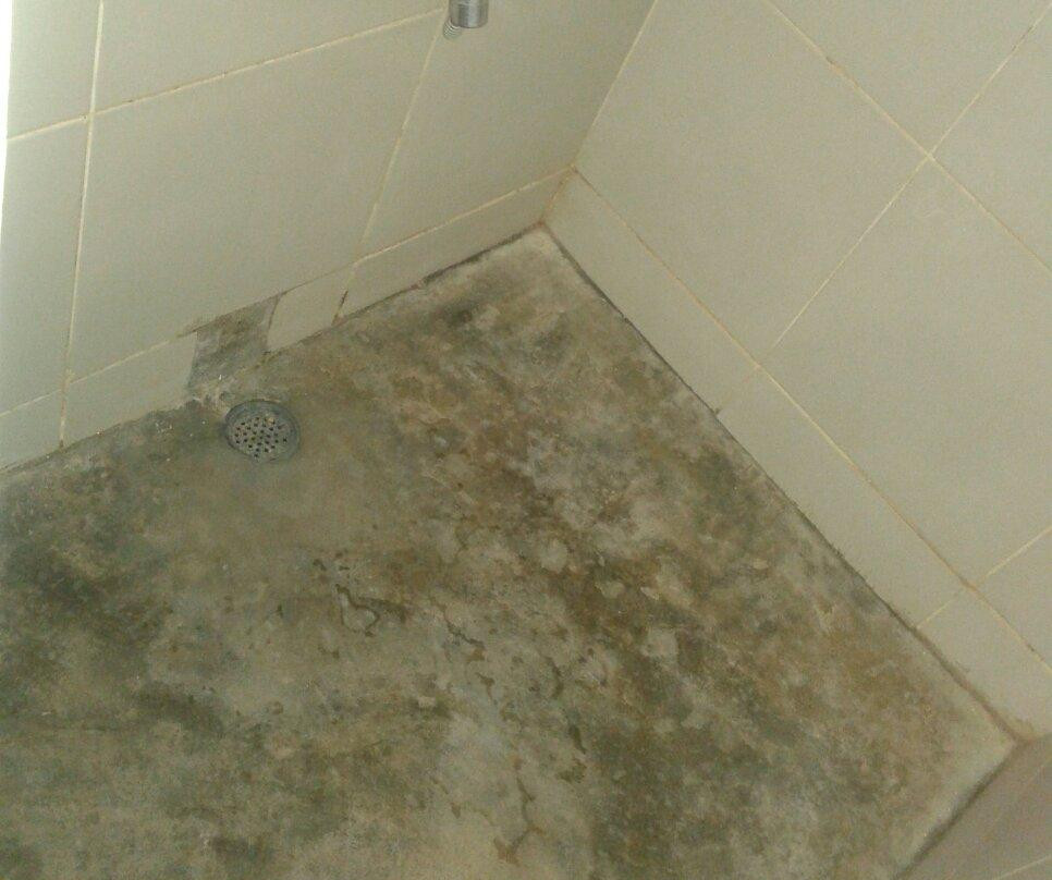 The MantaRay Mtwara主图