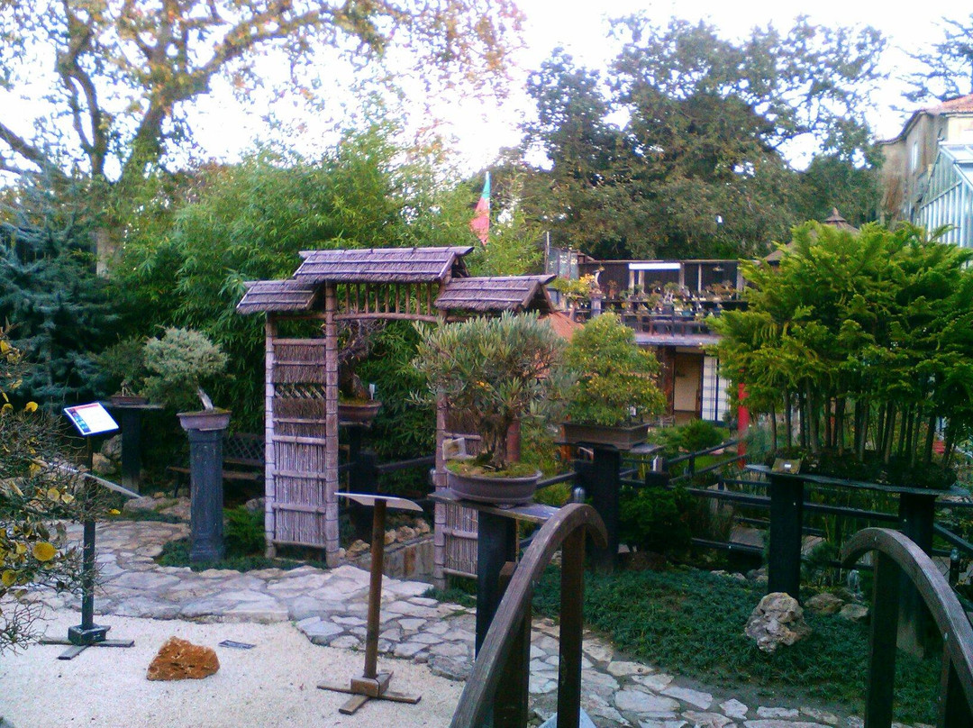 Museu do Bonsai-辛特拉必去景点