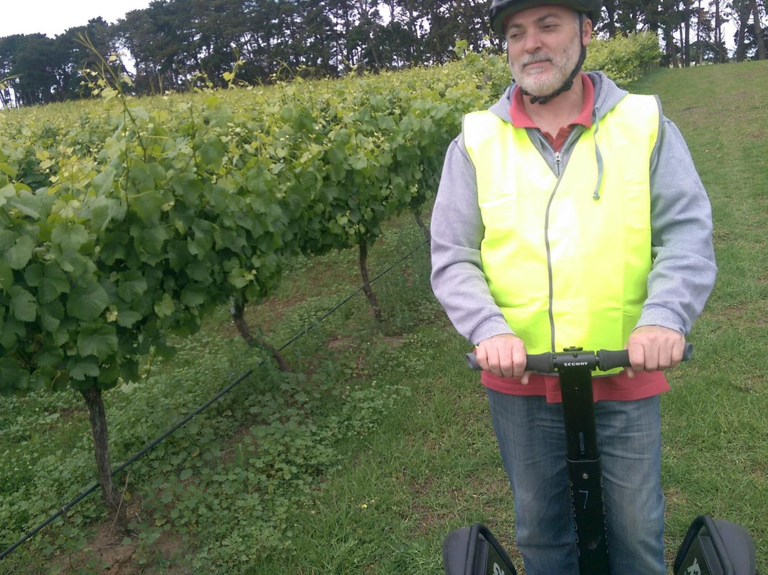 Segway Geelong-季隆必去景点