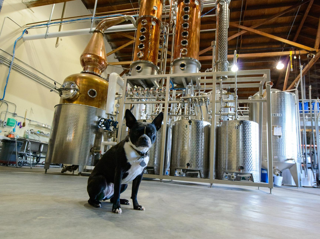 Spirit Works Distilling景点图片