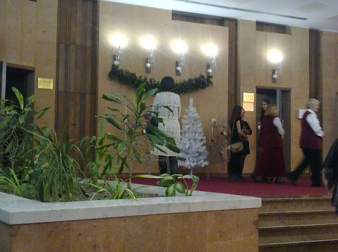 Rostov State Musical Theater景点图片