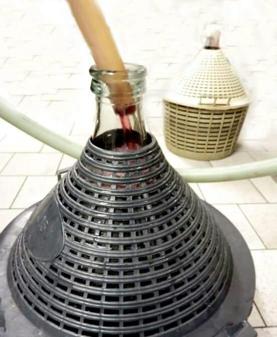 cantina stella景点图片