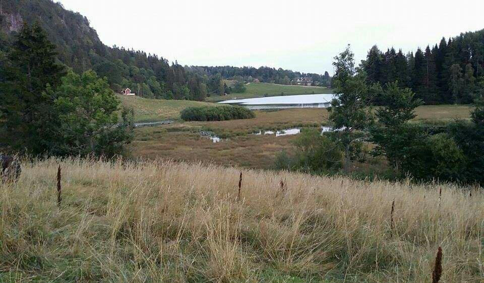 Semsvannet Lake-阿斯克必去景点