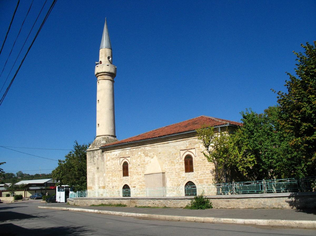 Geamia Ali-Gazi Pașa景点图片