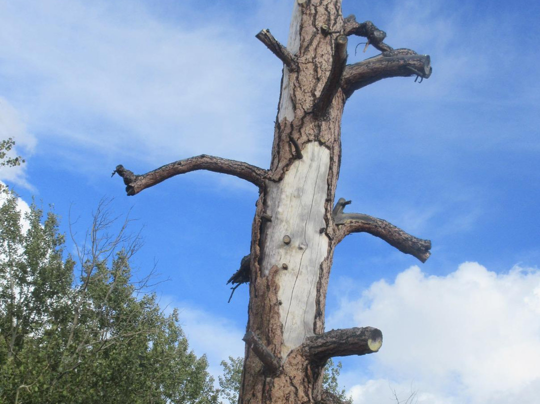 Laurie Guichon Memorial Grasslands Interpretive Site-梅里特必去景点
