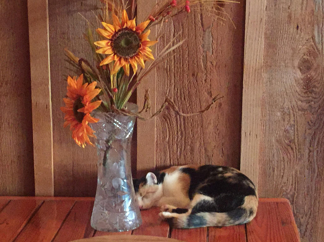 Starlight Plantation主图