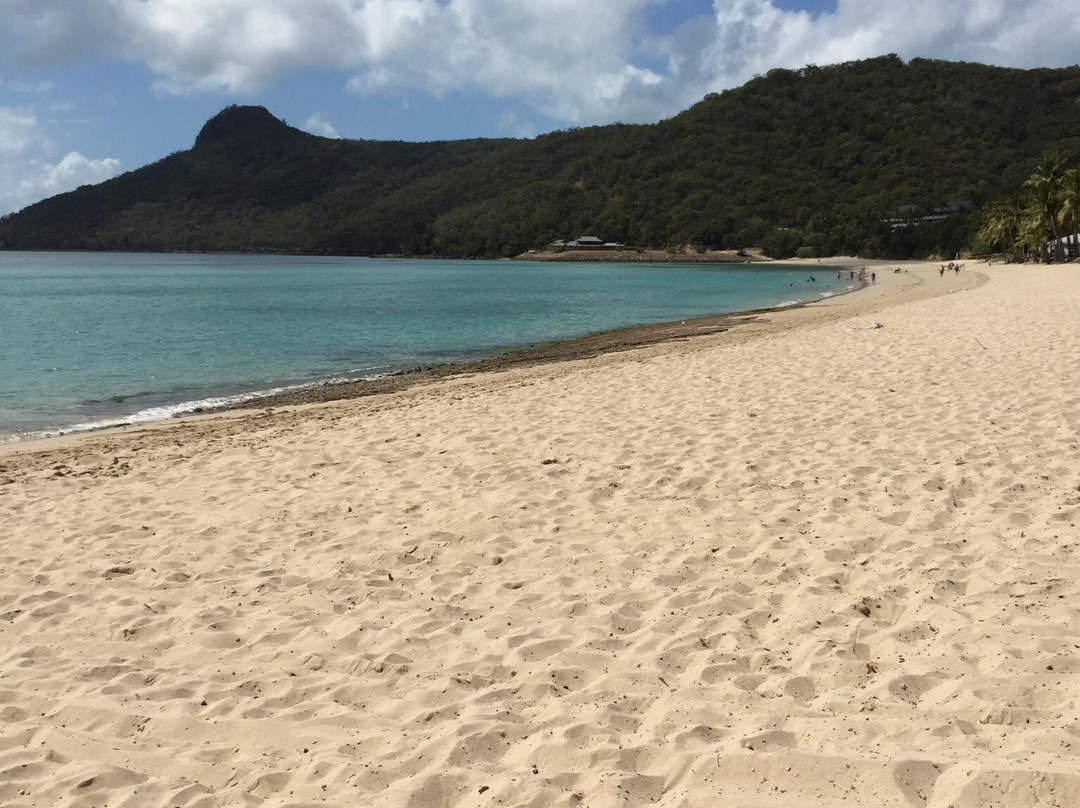 猫眼海滩-汉密尔顿岛必去景点