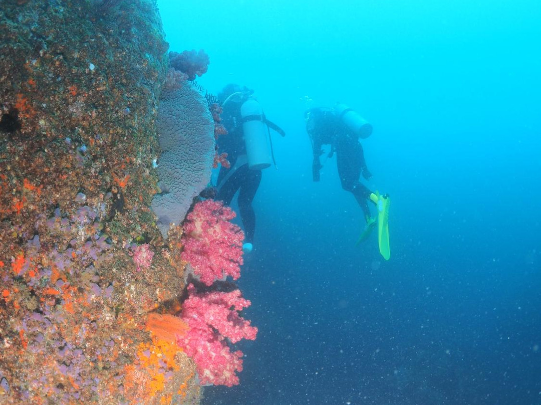 Yuhinosatonoyado Yoshida主图