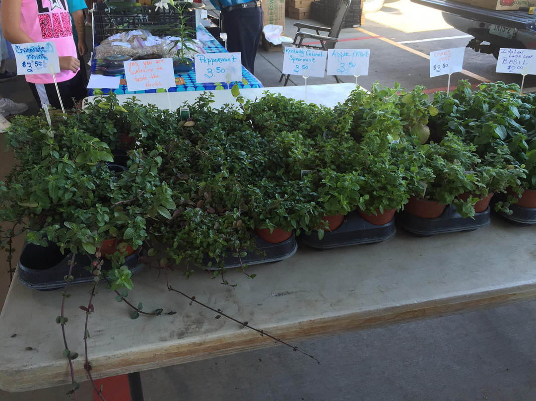 Overland Park Farmers Market-欧弗兰帕克必去景点