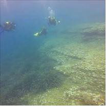 Dive'n Mallorca-Cala Ferrera必去景点