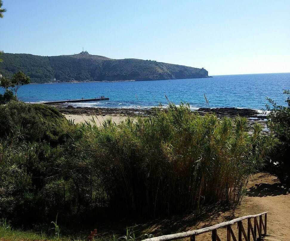 Amanti Del Mare