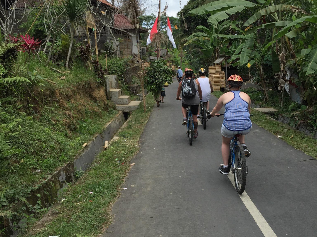 Bali Sunrise Trekking Tour-金塔马尼必去景点