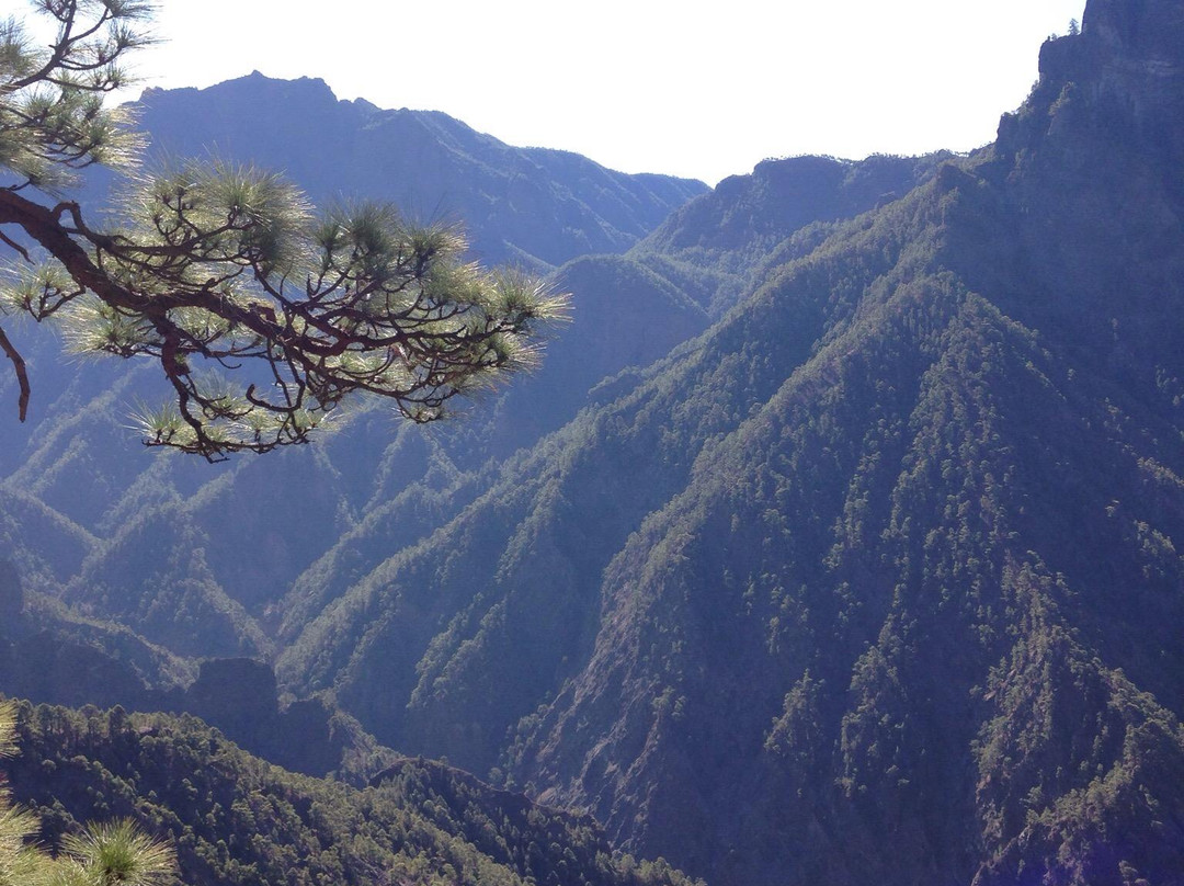 Caldera de Taburiente景点图片