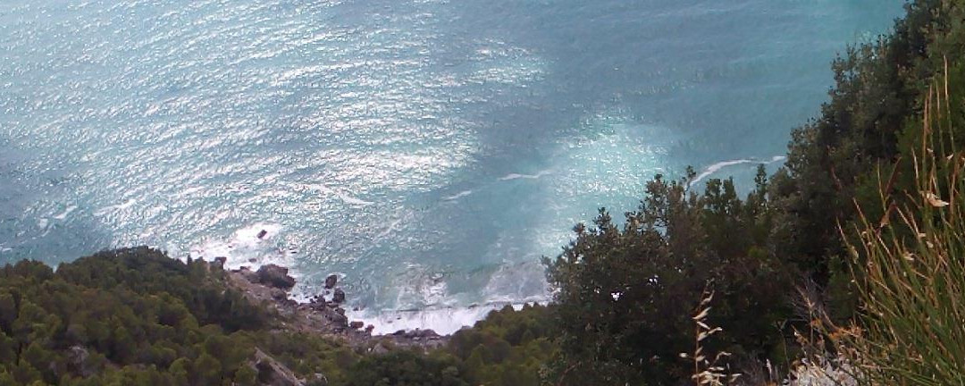 Cinque Terre Bike景点图片