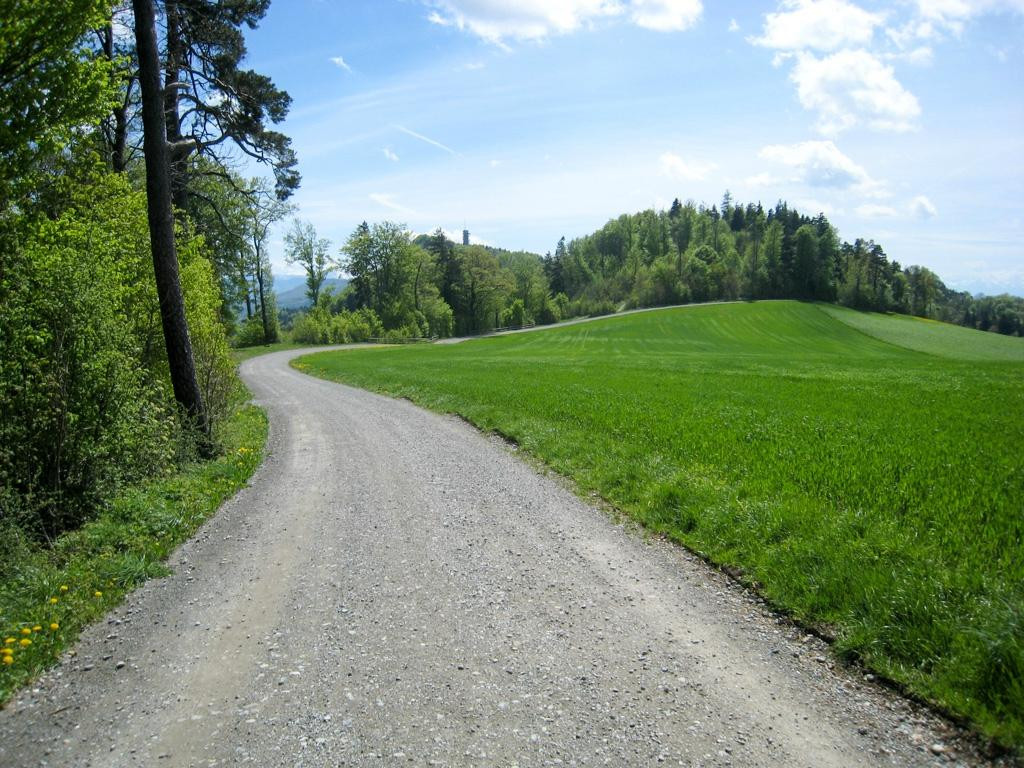 Planetary Path (Planetenweg)-Uetliberg必去景点