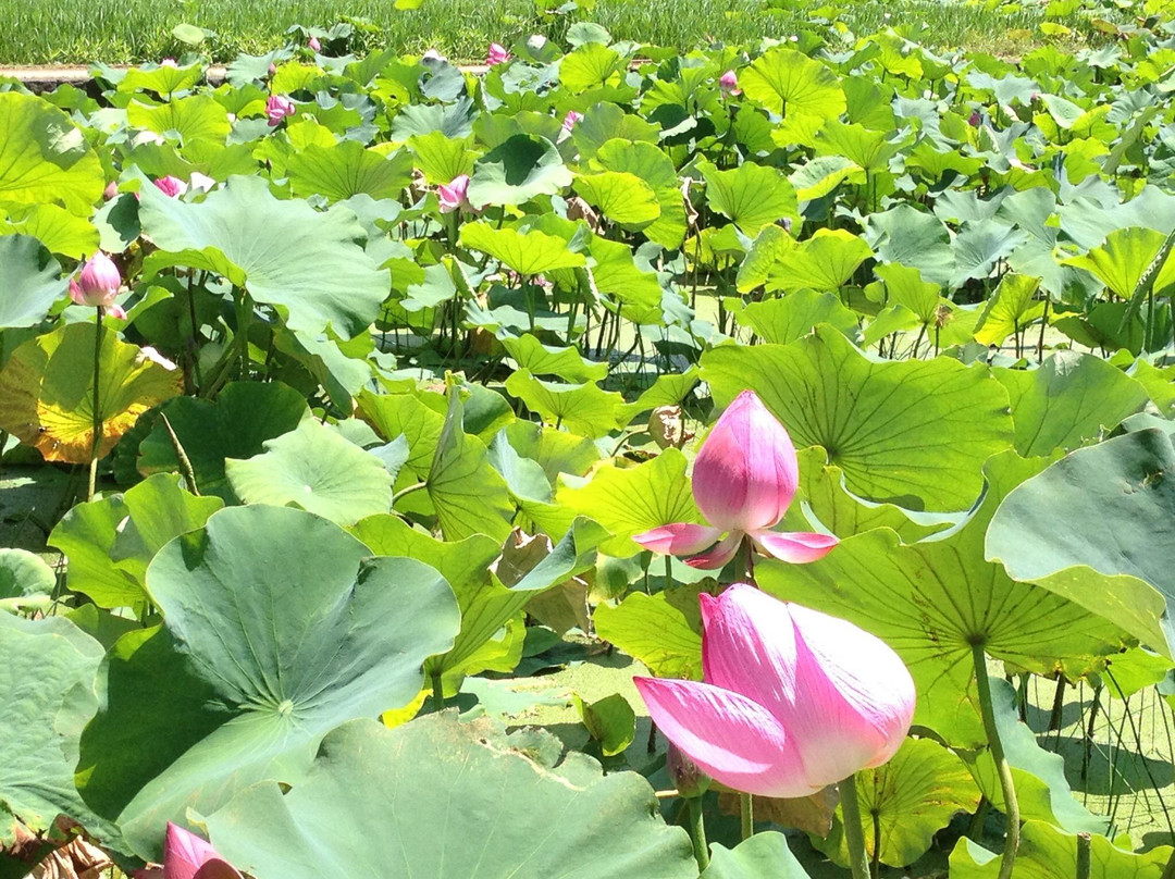 杣山花莲温泉酒店主图