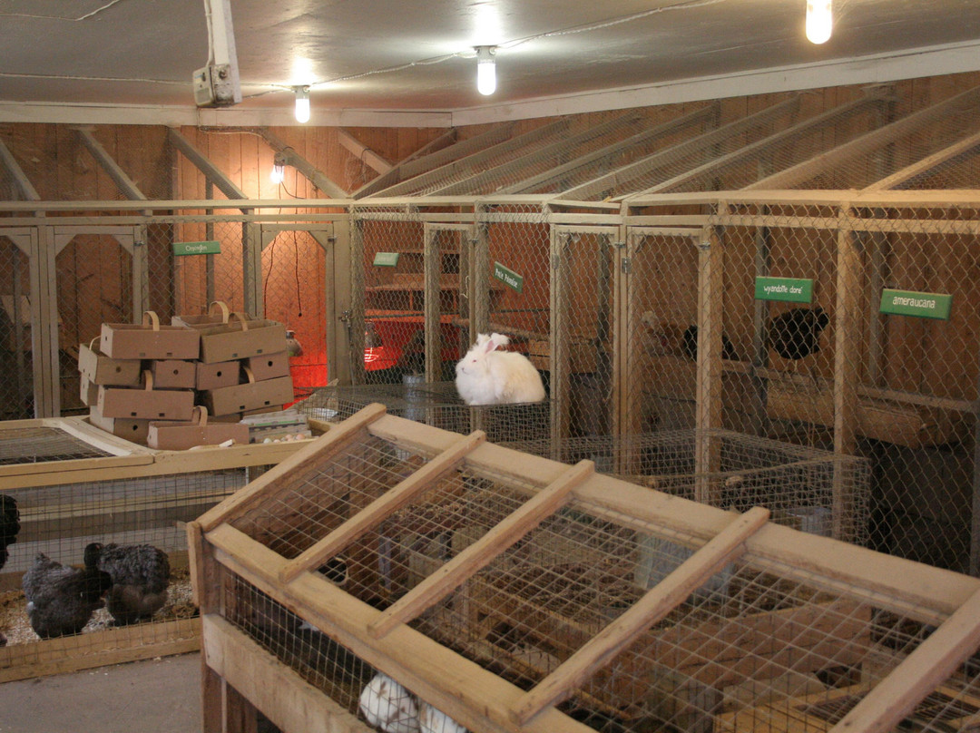 Ferme du Bassin景点图片