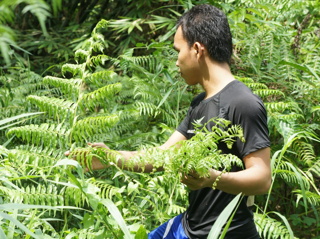 Peraya Homestay - Private Tours-古晋必去景点