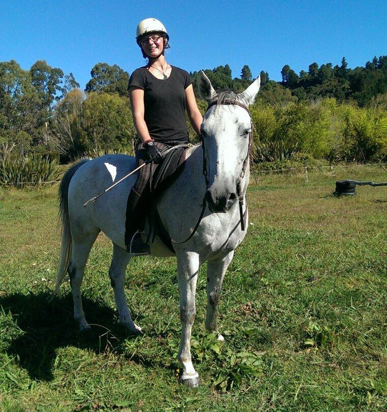 Pegasus Park Equestrian Adventure Tours-莫图伊卡必去景点