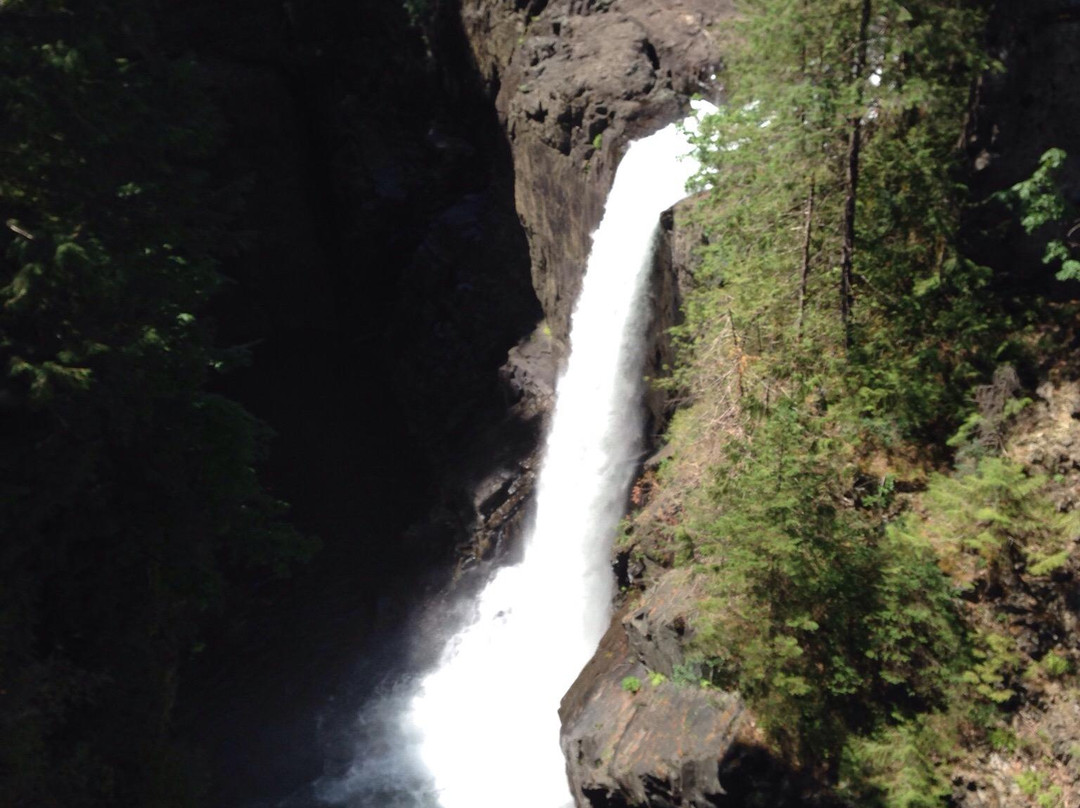 Elk Falls Provincial Park景点图片