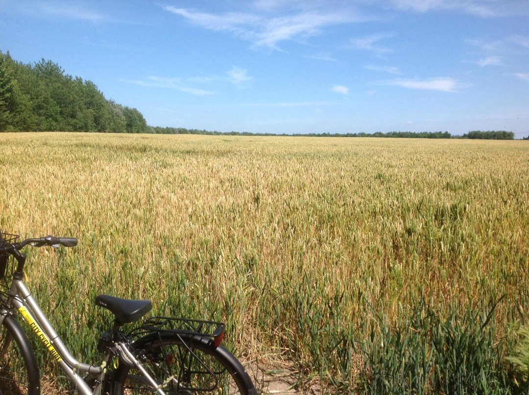 City Cycle Hire-剑桥必去景点