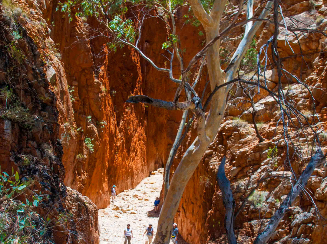 Standley Chasm Angkerle景点图片