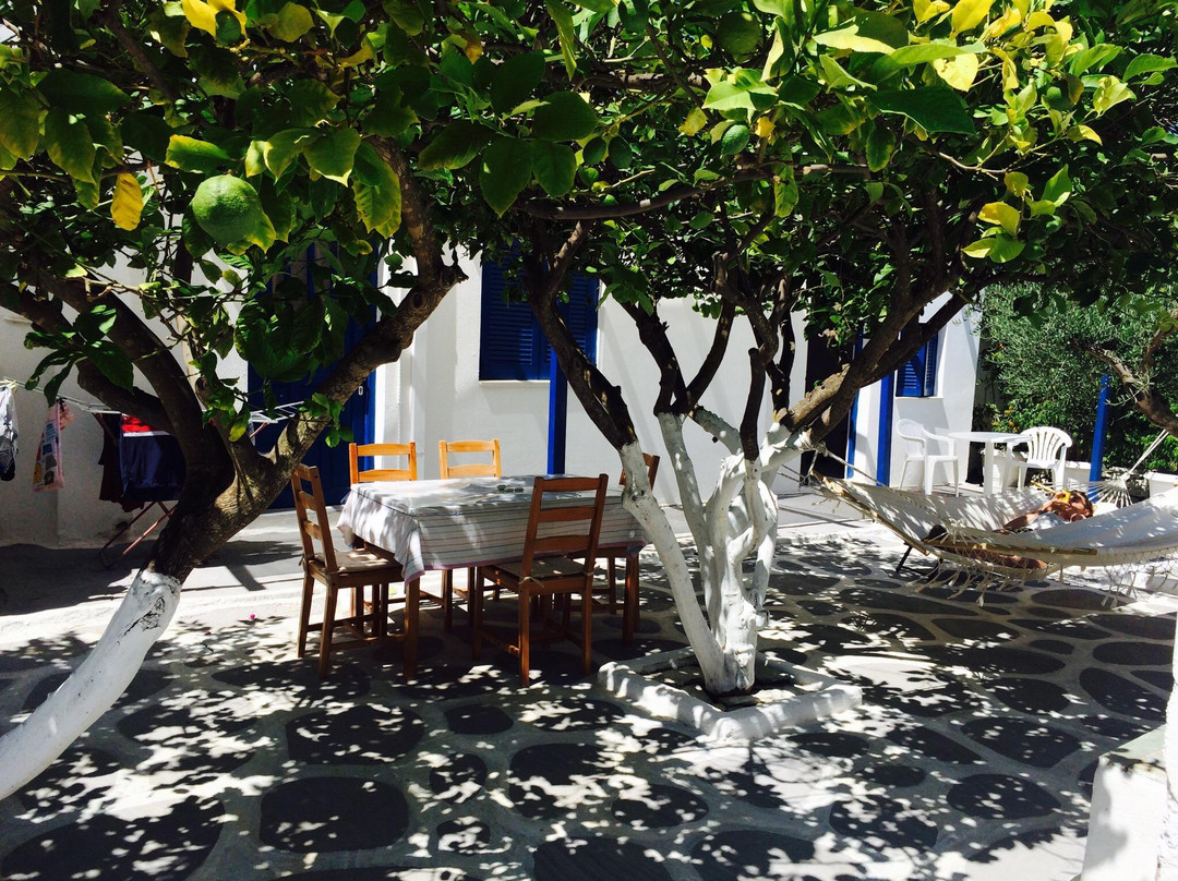 Yiannis Studios主图