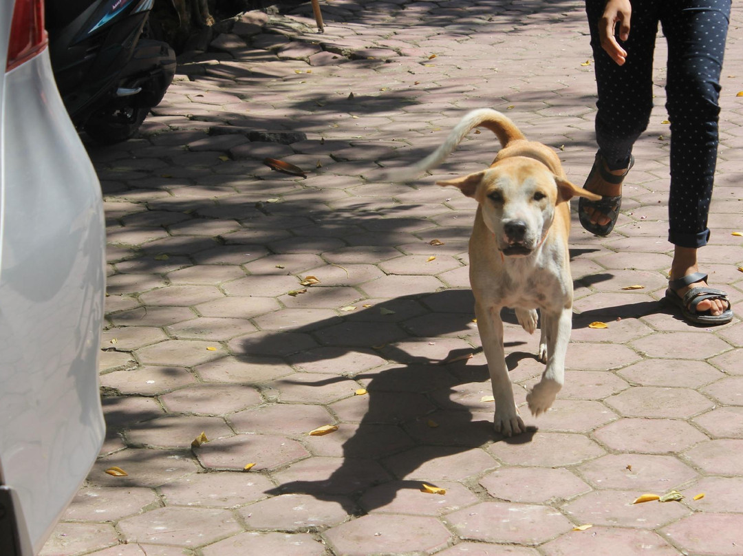 Kangkung Cottages主图
