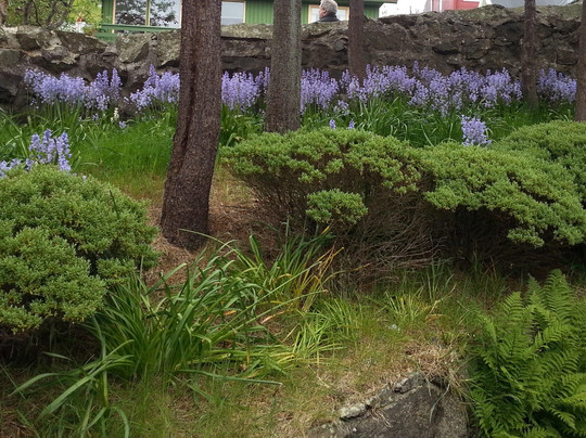 Visit Torshavn-托沙文必去景点