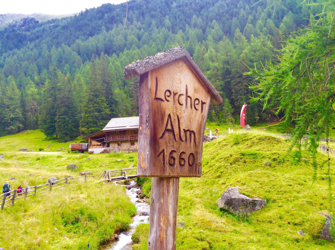 LercherAlm Oberwielenbach-Perca必去景点