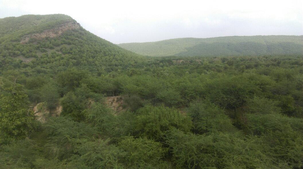 Ramgarh Vishdhari Sanctuary景点图片