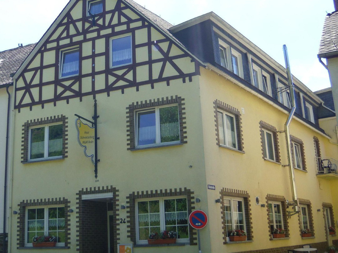 Ernst酒店住宿-Haus Schwarzenberg