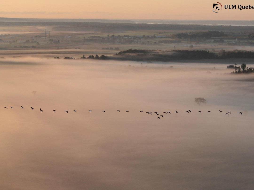 ULM Québec-Saint-Cuthbert必去景点