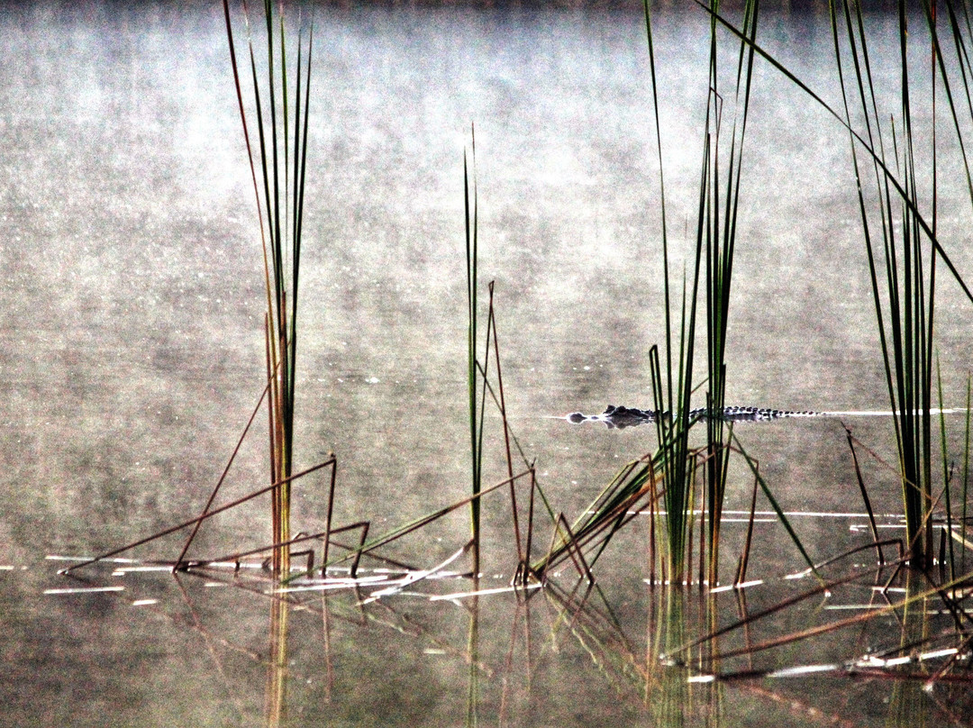 Alafia River State Park-Lithia必去景点