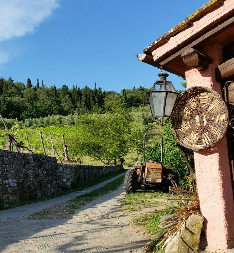 Fattoria Dell'orto Degli Ulivi