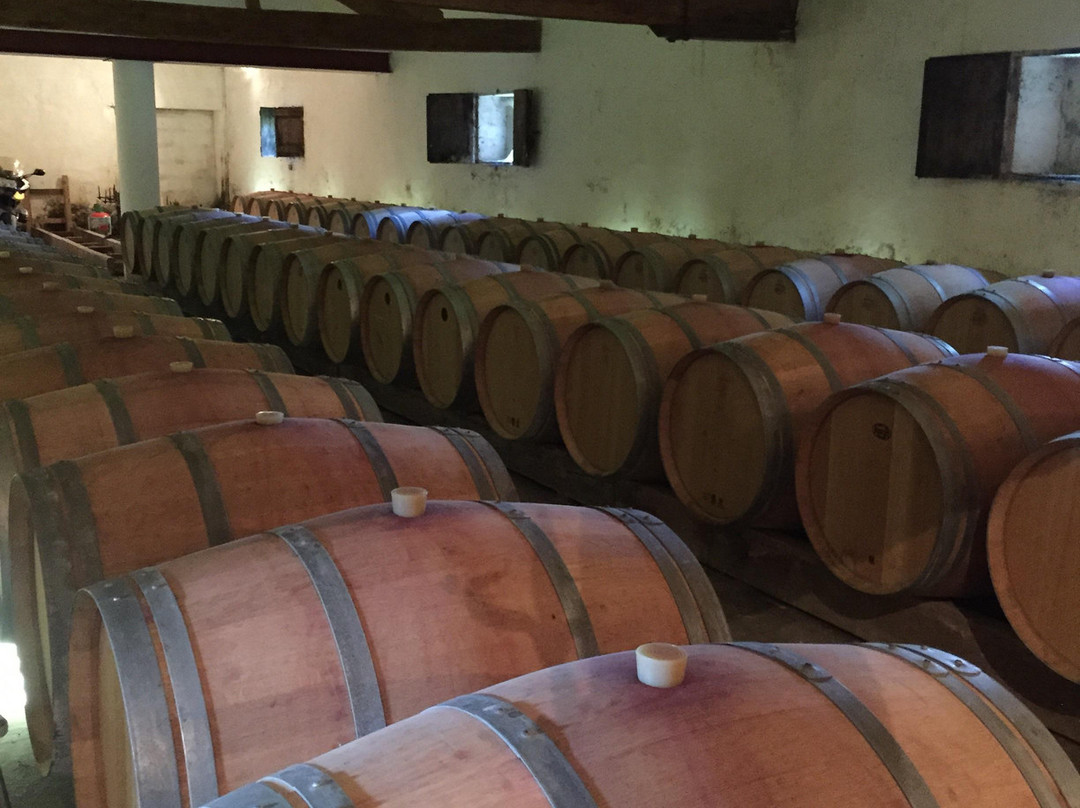 布瑟佐尔十字城堡酒店主图