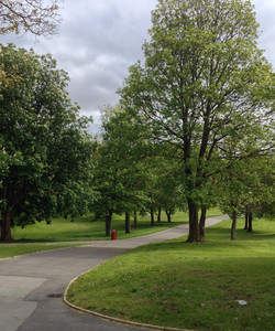 Queens Park景点门票图片