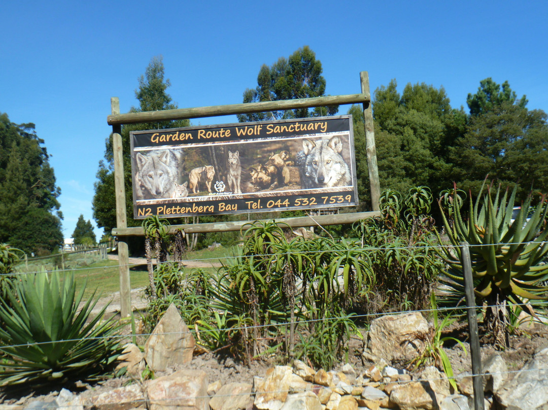 Garden Route Wolf Sanctuary-普利登堡湾必去景点