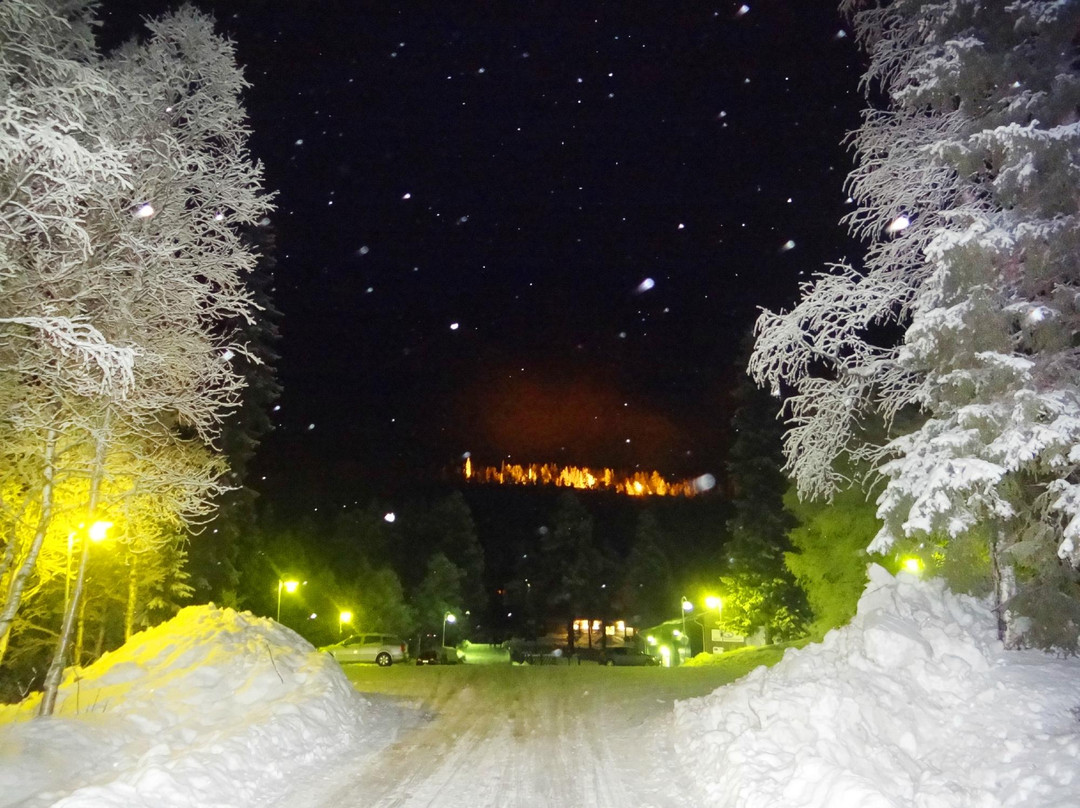 Salla Ski & Active-Salla必去景点