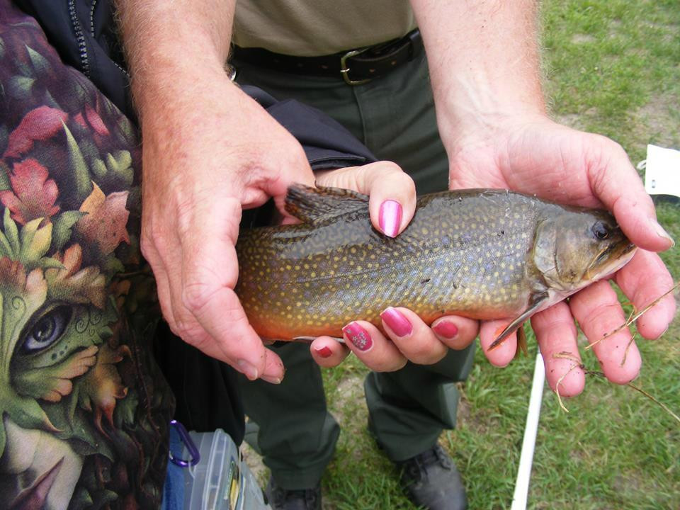 Manchester Fish Hatchery-Manchester必去景点