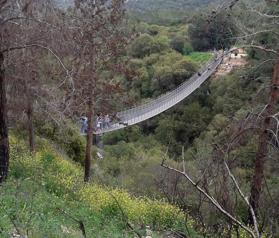 Hanging Bridge at Nesher Park-Haifa必去景点