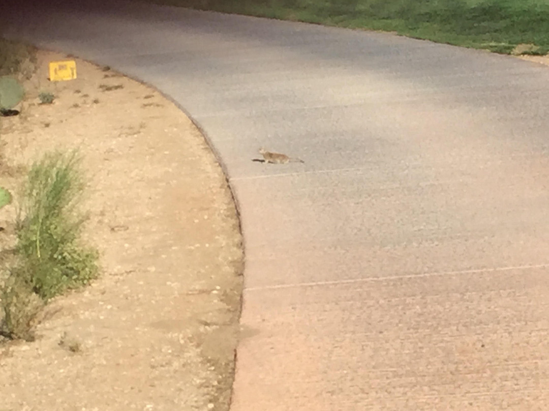 Gallery Golf Club-马拉纳必去景点