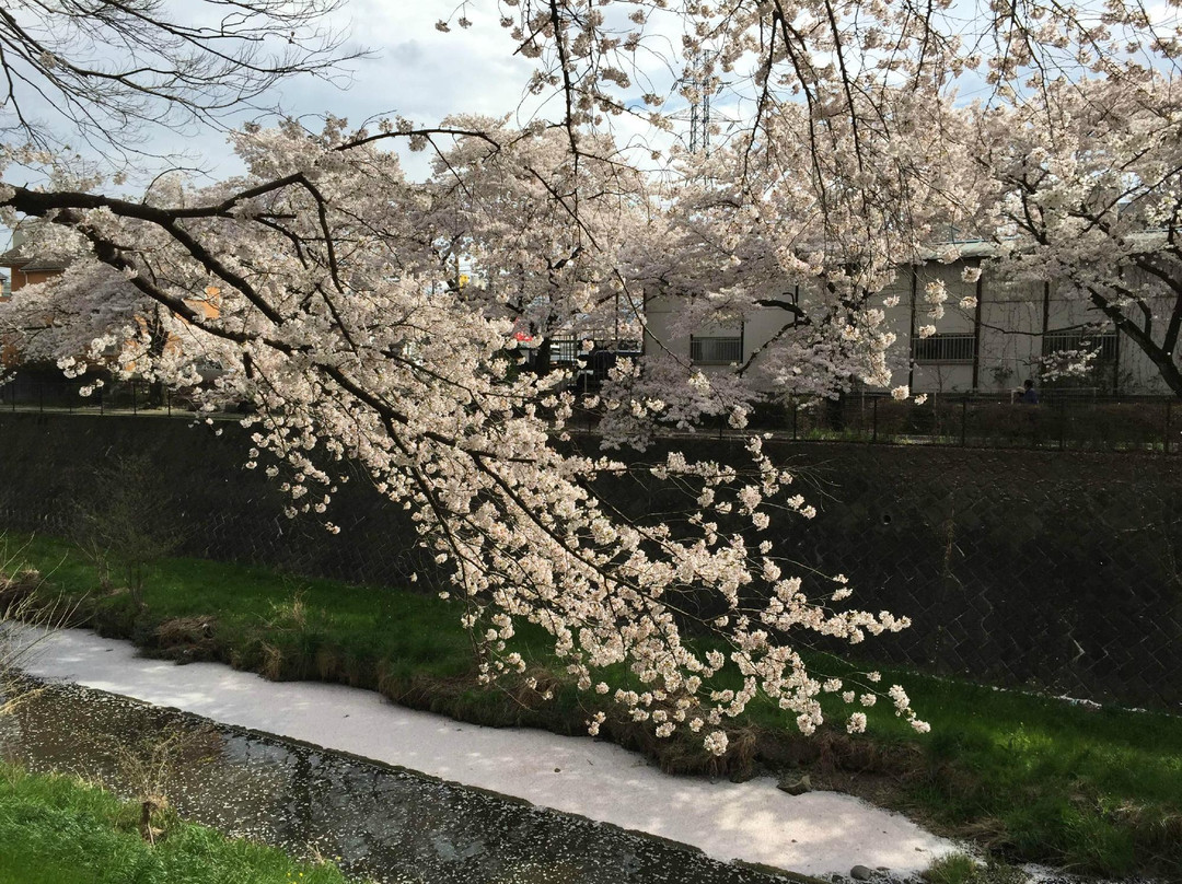 Tachikawa Park-立川市必去景点